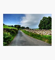 Swaledale Lanes Photographic Print