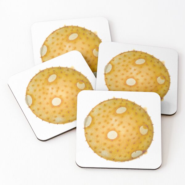 Item preview, Summer squash pollen grain under the microscope designed and sold by SDym Photography.