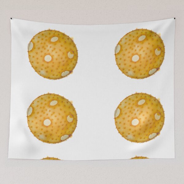 Item preview, Summer squash pollen grain under the microscope designed and sold by SDym Photography.