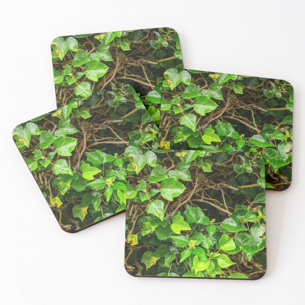 Item preview, Ivy designed and sold by Ciaran Sidwell.