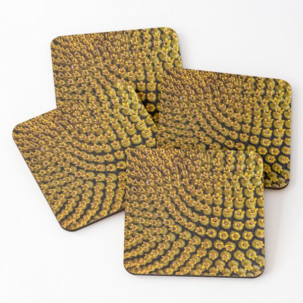 Item preview, Sunflower designed and sold by Ciaran Sidwell.