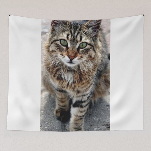 Item preview, “Whiskers” designed and sold by TheLifeInspired.