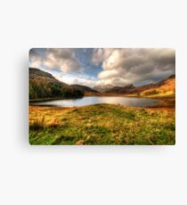 Blea Tarn, Lake District Canvas Print