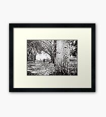 Fitzroy Gardens Framed Print