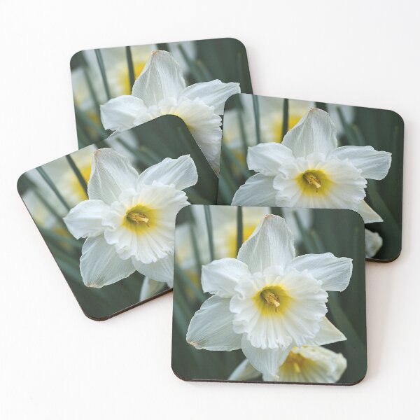 Item preview, White Daffodil Capped designed and sold by Joy Watson - Natural Light Photography .