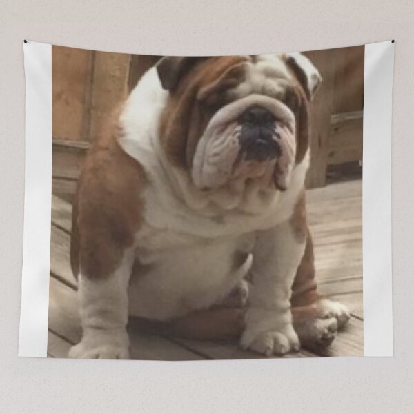Item preview, “Samson” designed and sold by TheLifeInspired.