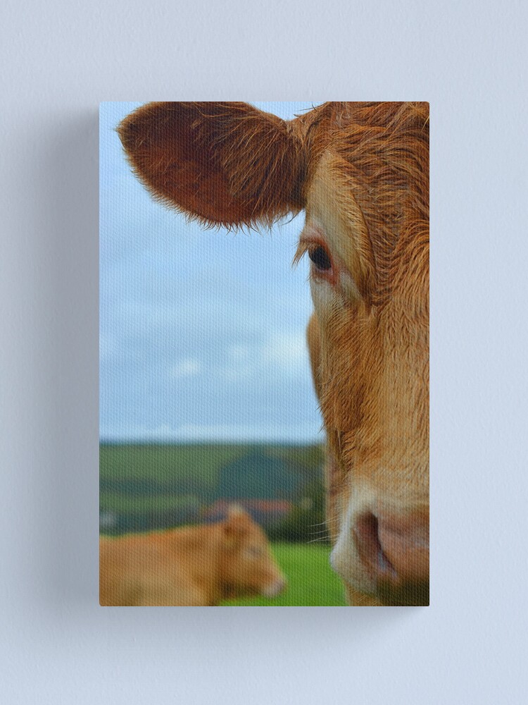 "Half Cow Face" Canvas Print by AlexanderWagner Redbubble