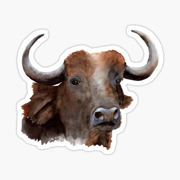 Cape Buffalo Baby Sticker
