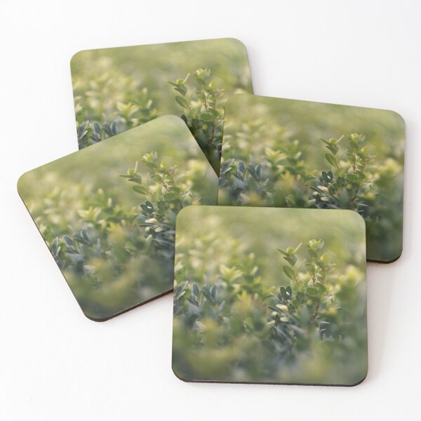 Item preview, Fairytale Garden designed and sold by Xiclography.