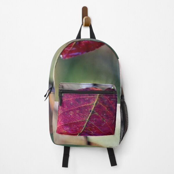 Item preview, Final Color Burst designed and sold by cuprum.