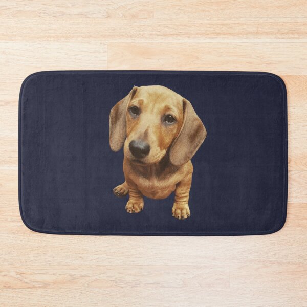 Item preview, Hudson the Mini Dachshund designed and sold by Ashstone23.