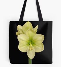 Moonlight Amaryllis Tote Bag