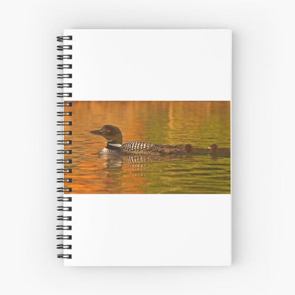 Item preview, Follow the leader - Common loon designed and sold by James Cumming.