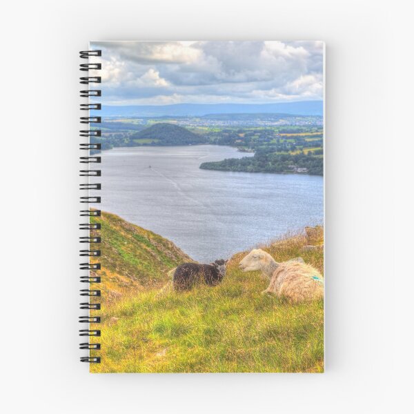 Item preview, Black and White Sheep The Lake District designed and sold by acceleratorhams.