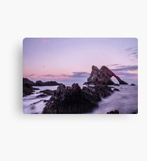 Bow Fiddle Canvas Print