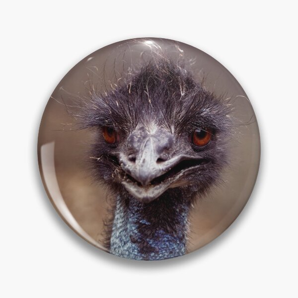 Item preview, Ostrich with a Bad hair day designed and sold by DVart-nz.