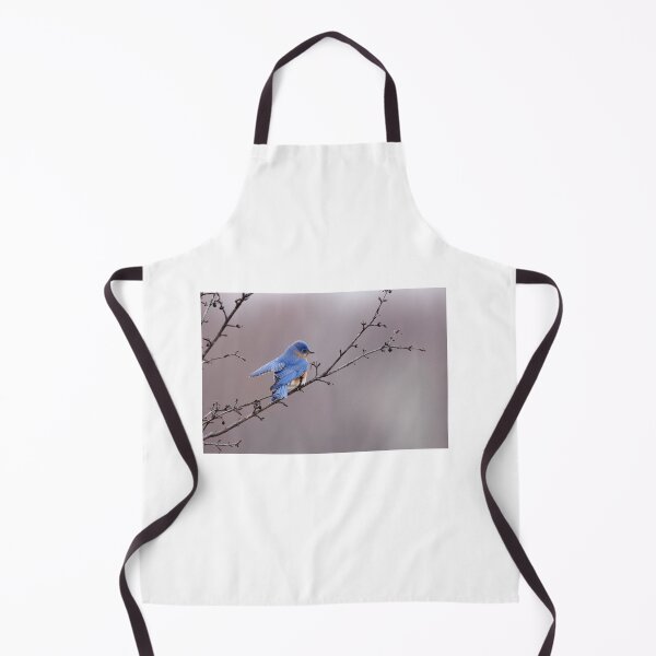 Item preview, Eastern Bluebird designed and sold by BRENDA DOHERTY.