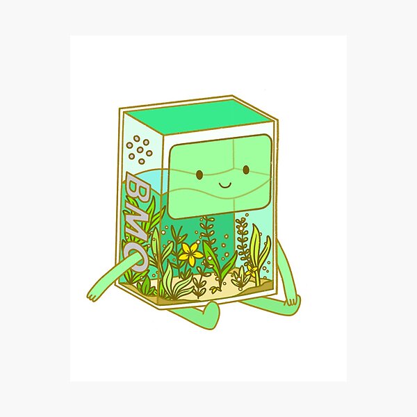 The BMO Aquarium Photographic Print