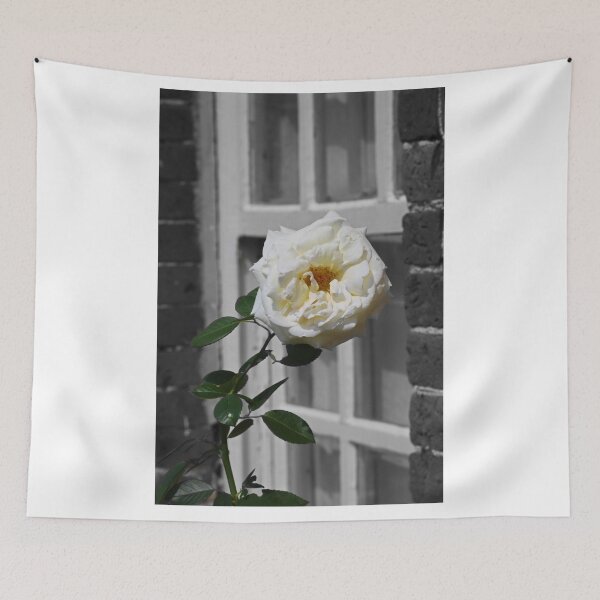 Aperçu de l'œuvre Une rose de la fin créée et vendue par SJHorsfall.