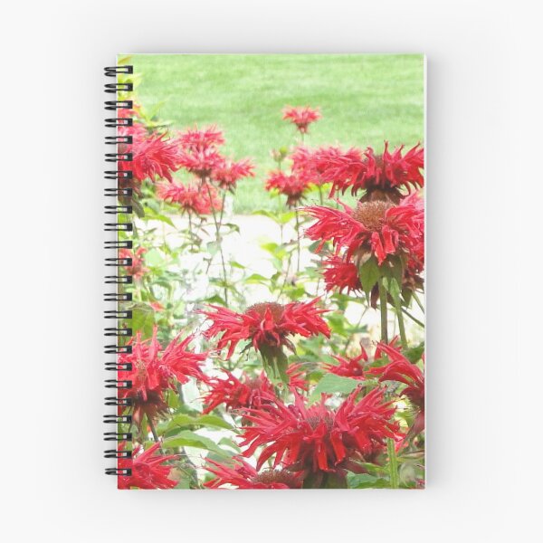 Item preview, Cinnamon patch. designed and sold by XRoes.