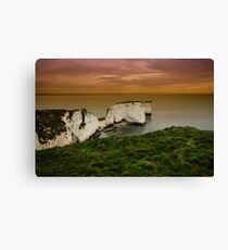 Old Harrys Rocks Canvas Print