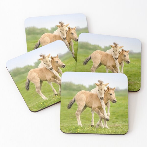Item preview, Funny Konik foals playing together in spring designed and sold by Katho Menden.