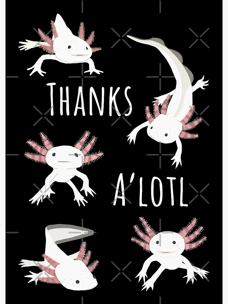 Axolotl Party Favor Tags, Personalized Axolotl Thank You Tags, Axolotl  Birthday Party Favors, You Print or We Print 