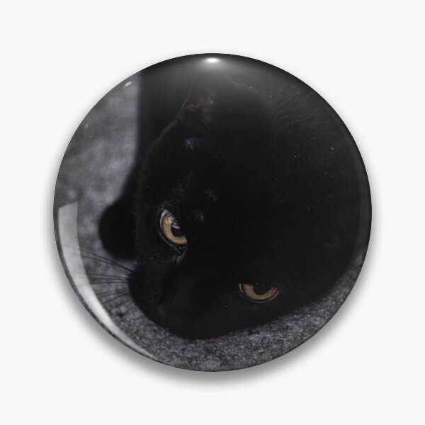 Item preview, Gato designed and sold by JmanInABox.