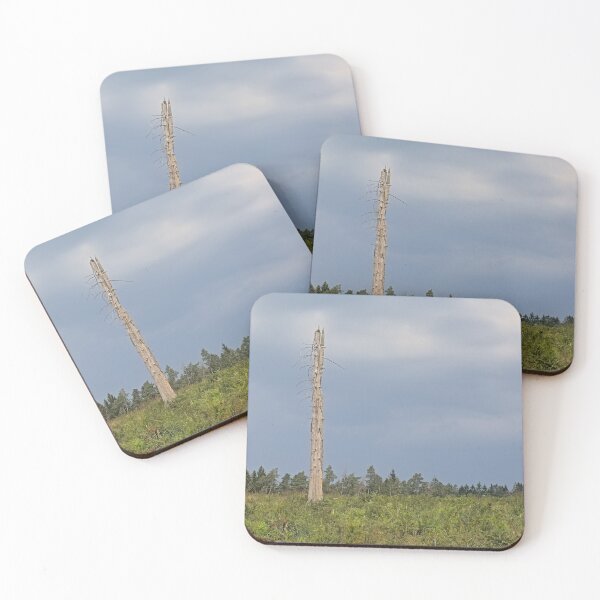 Item preview, Dead tree in an Ardennes landscape designed and sold by xophotography.