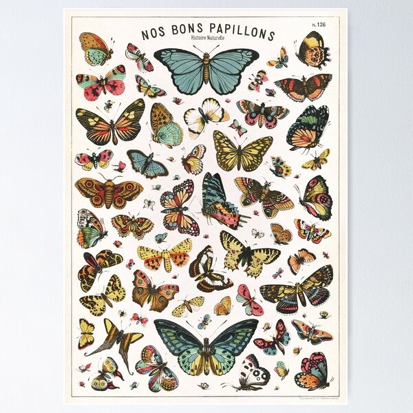 Item preview, NOS PAPILLONS designed and sold by arisabi.