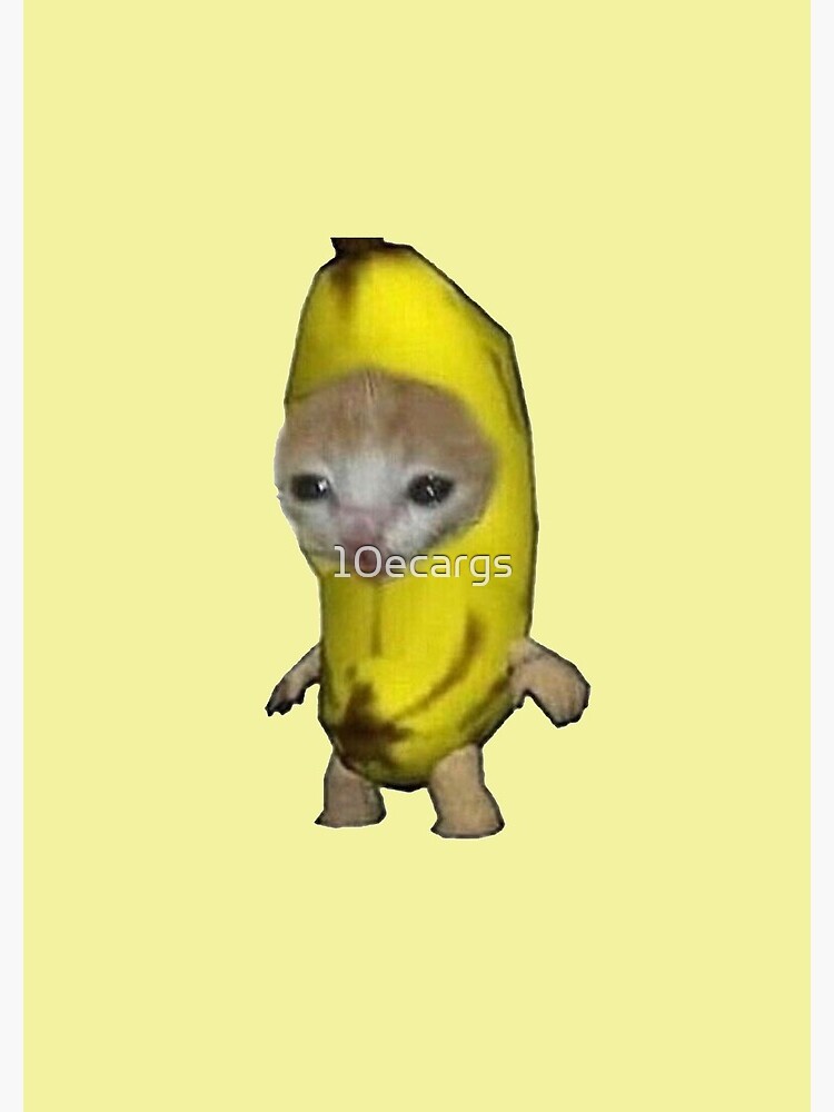 Cute Kitten in a Banana Meme Sticker Journal for Sale by 10ecargs Redbubble