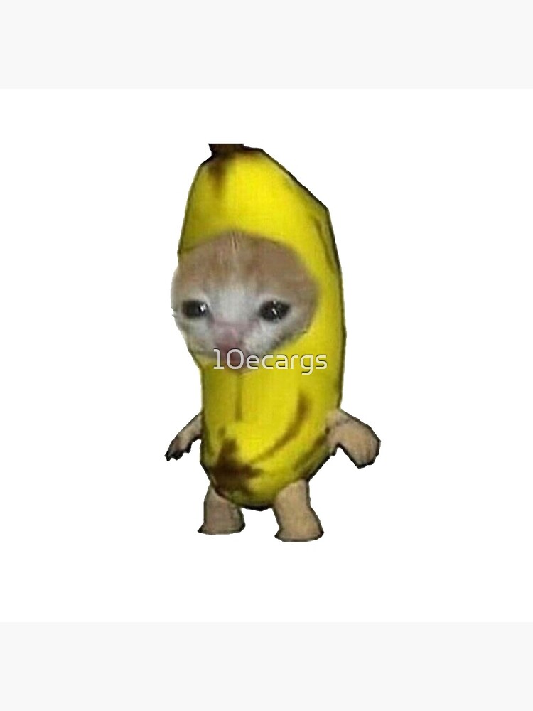 Cute Kitten in a Banana Meme Sticker