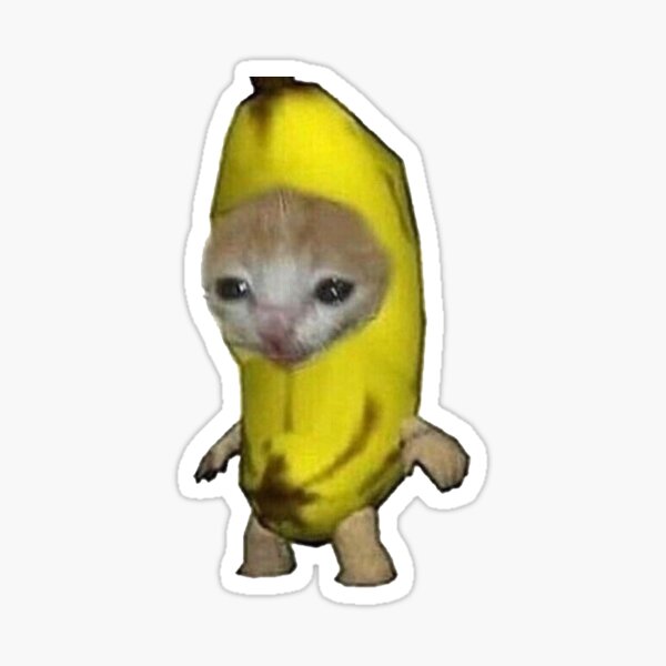 Item preview, Cute Kitten in a Banana Meme Sticker designed and sold by 10ecargs.