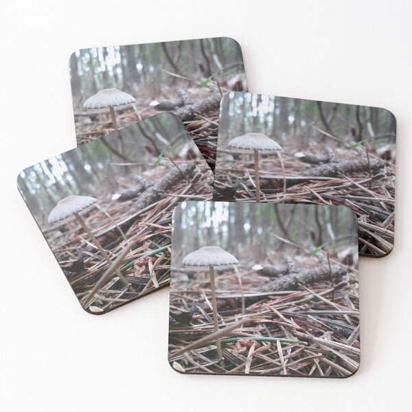 Item preview, Forest Shrooms designed and sold by massexperience.
