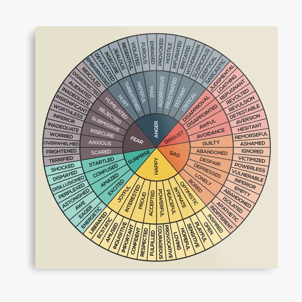 Wheel Of Emotions Metal Print