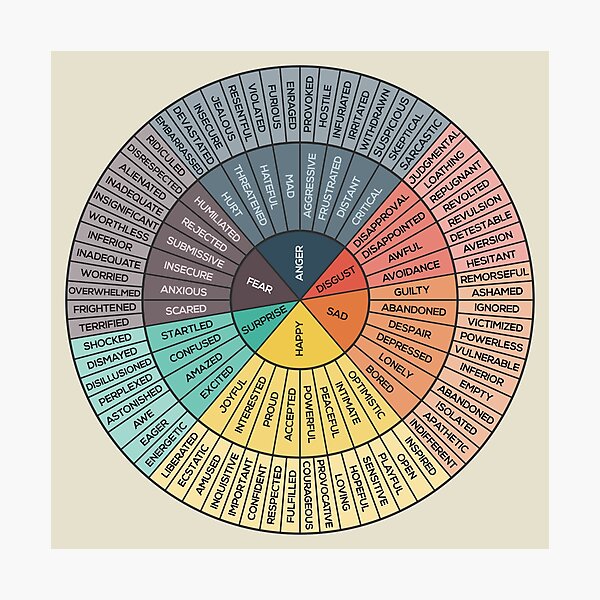 emotion wheel chart