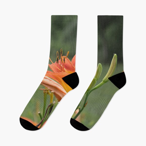 Item preview, lily bloom and 9 buds designed and sold by dnparker.