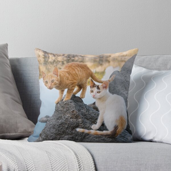 Item preview, Dos gatitos en un lago en Grecia designed and sold by Katho Menden.