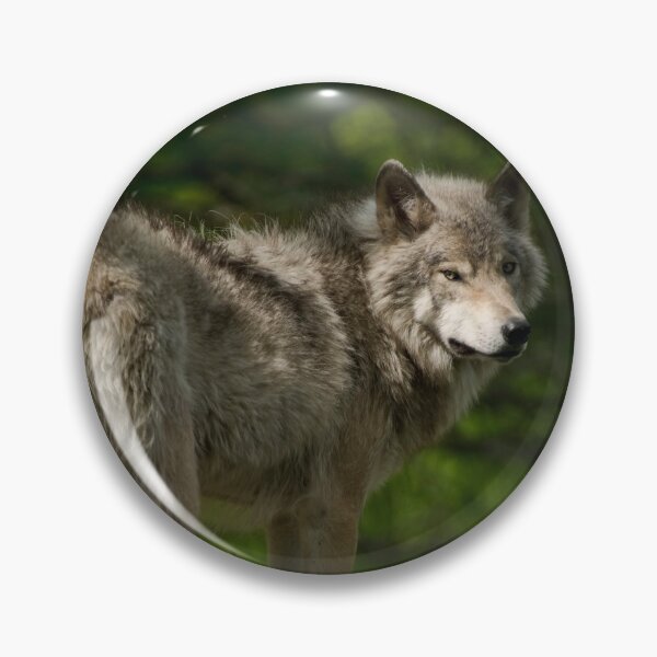 Artikelvorschau, Timber Wolf entworfen und verkauft von WolvesOnly.