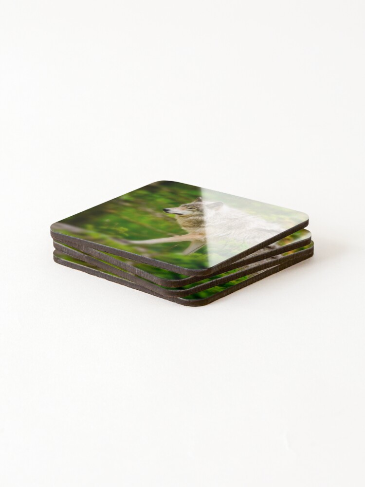 Thumbnail 4 of 5, Coasters (Set of 4), Timber Wolf designed and sold by WolvesOnly.