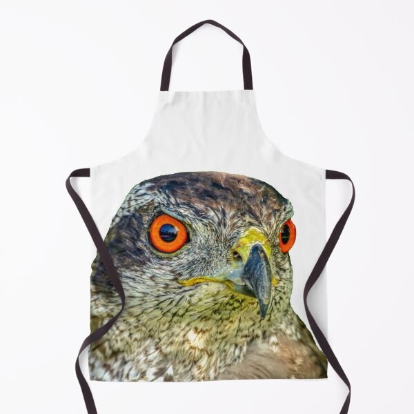 Item preview, Glowing eyes of a Goshawk designed and sold by Dalyndigital Photography.