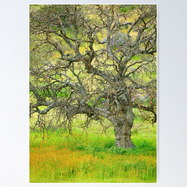 Item preview, Wildflowers Under Oak Tree - Spring In Central California designed and sold by Ram Vasudev.
