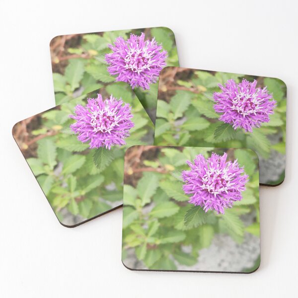 Item preview, Beautiful Pink Flower Photograph | Gift Ideas for Friends and Family designed and sold by Rohit Mane.