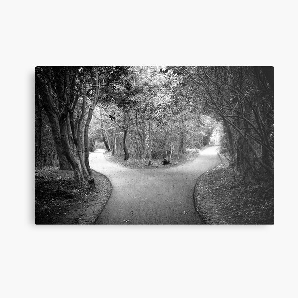Which way.......... Metal Print