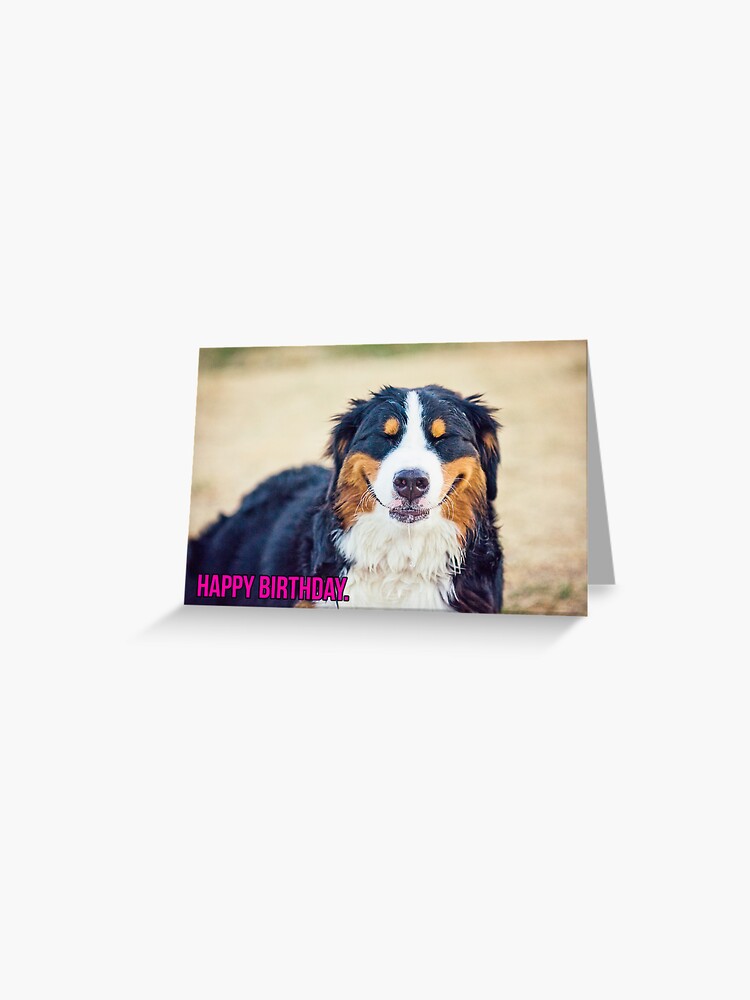 Carte De Vœux Joyeux Anniversaire D Un Berner Par Thejill Redbubble