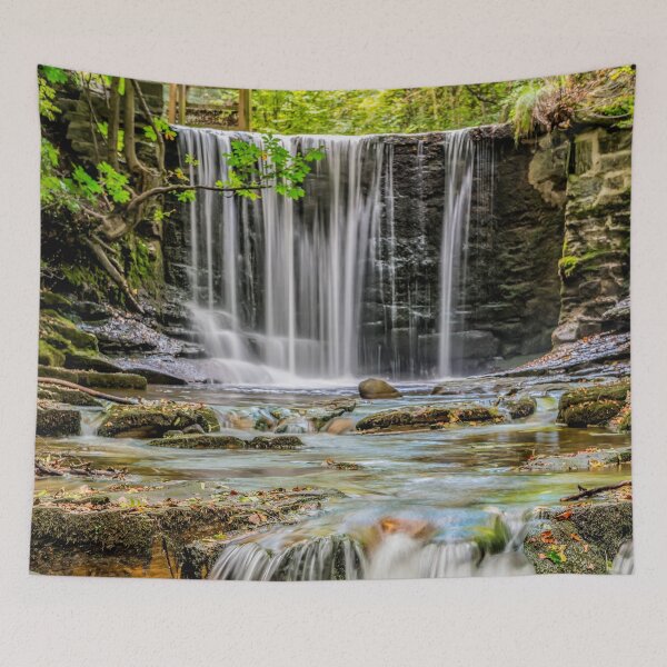 Item preview, Plas Power Wood Waterfall Wrexham designed and sold by AJEvans.