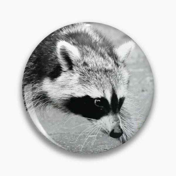 Item preview, Visit from the raccoon designed and sold by Glineur.