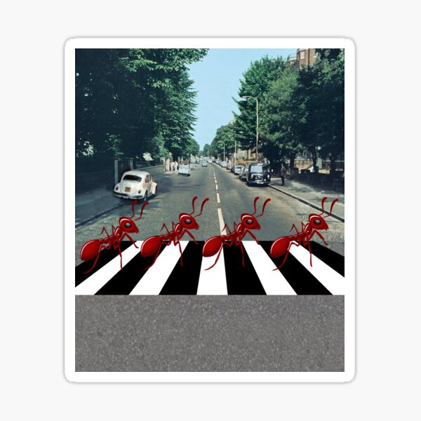 Ants Marching Down Abbey Road Sticker