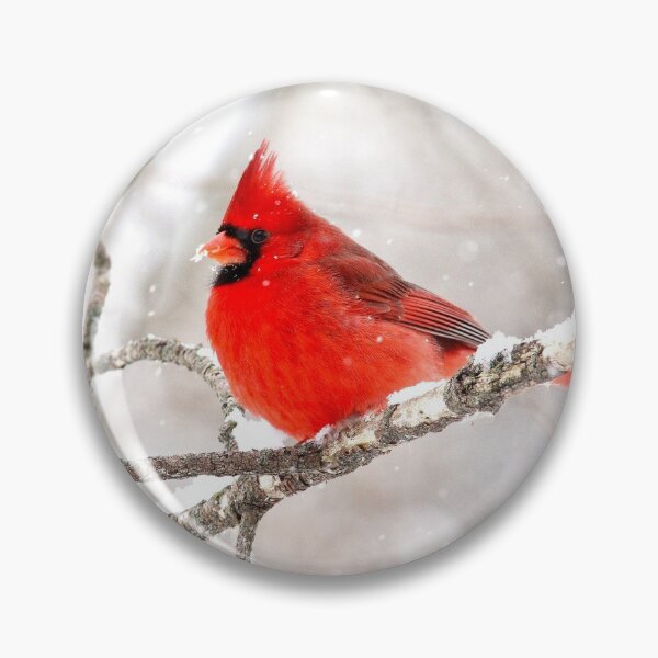 Item preview, Male Northern Cardinal designed and sold by BRENDA DOHERTY.