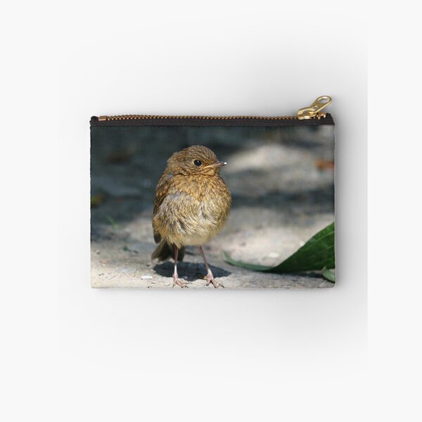 Item preview, Baby robin designed and sold by GreyFeatherPhot.